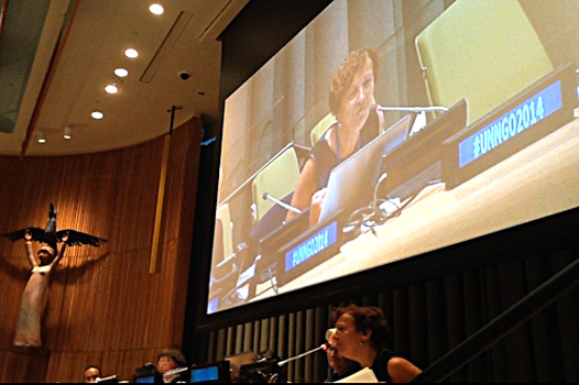 Bircan Unver, UN Trusteeship Council, August 28, 2014